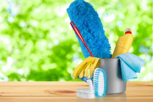 Clean and organized living room for house cleaning article