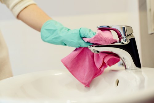 Domestic cleaning tools arranged for a tidy home