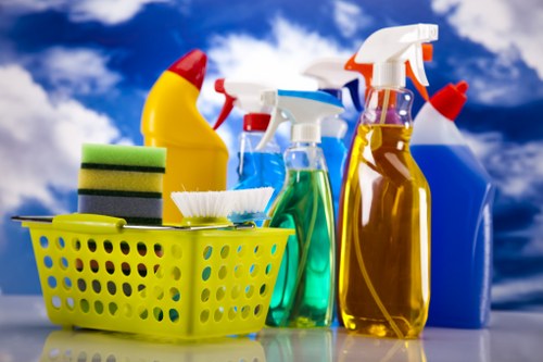 Professional house cleaning in a bright modern home