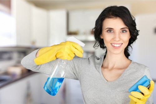 Carpet cleaning process in a busy home with pets
