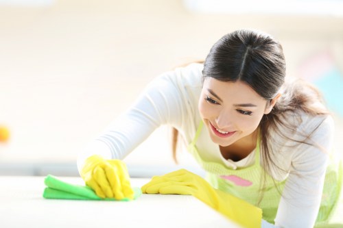Clean kitchen and hygienic surfaces after domestic cleaning