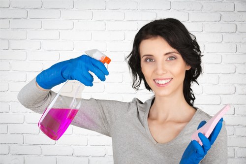 Professional move in cleaning in a bright new home