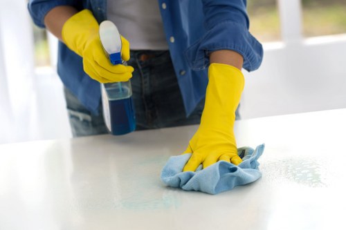 Deep domestic cleaning supplies for home maintenance