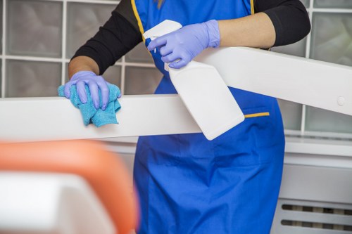 DIY oven cleaning supplies on a kitchen counter